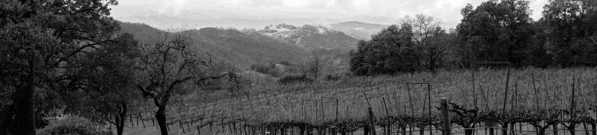 Alexander Mountain Estate sits on the Mayacamas Mountain Range overlooking the Alexander Valley below.